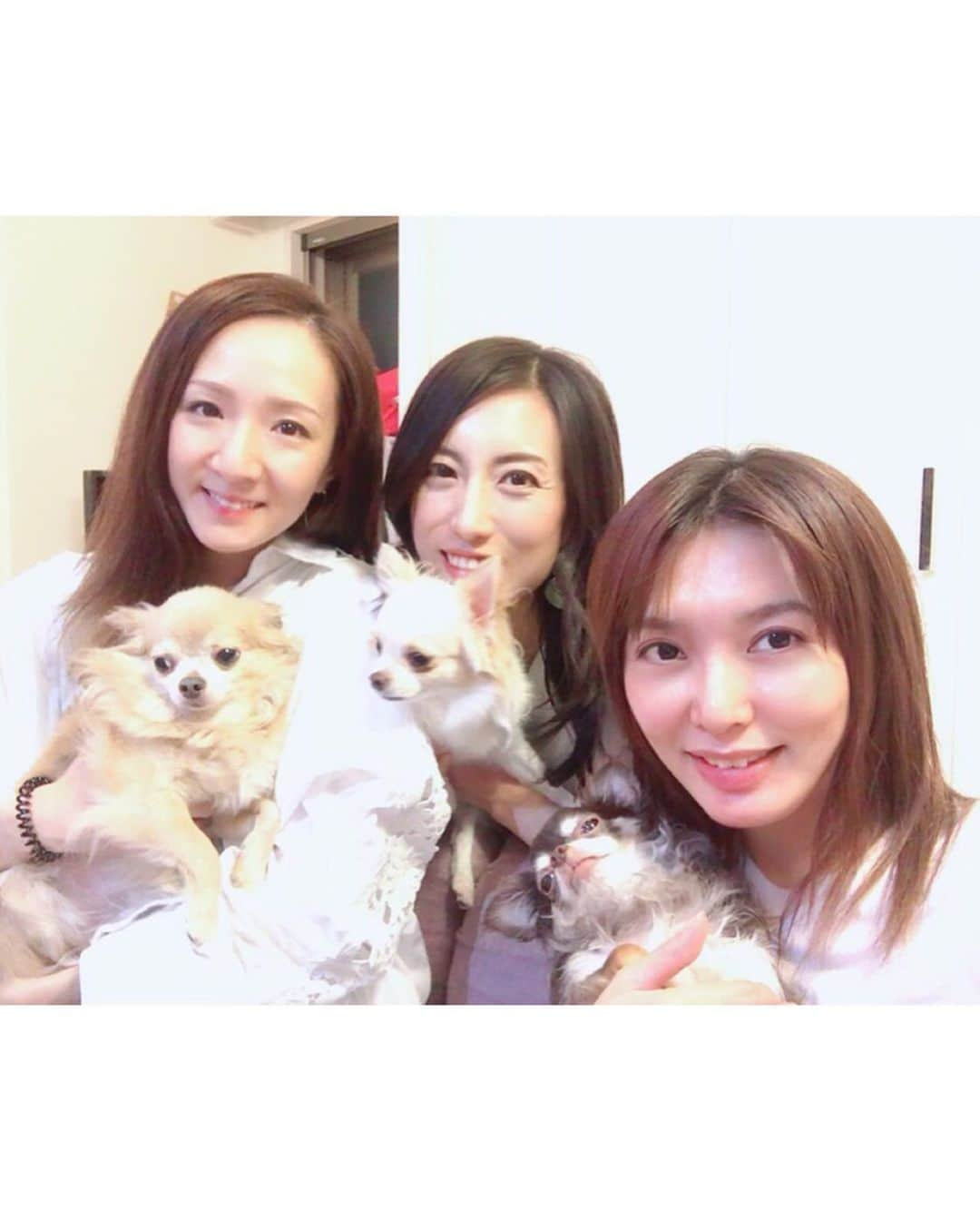 涼瀬みうとさんのインスタグラム写真 - (涼瀬みうとInstagram)「‪昨日の夜は久しぶりの犬会♡‬ ‪我が子は不参加🐶💦‬ ‪みんなで手料理を美味しくいただきました😋🍴💕‬ ‪気まぐれでお手伝いしたよ👩‍🍳💜←‬ ‪豚肉の豆苗巻き、簡単だし美味しかったので、お家でもやろーっと✍️😉‬ ㅤㅤㅤㅤㅤㅤㅤㅤㅤㅤㅤㅤㅤ ‪これからの季節は、きっと定期的に集まりそうな予感😏🍲🍶‬ ‪たのしみ！‬ ㅤㅤㅤㅤㅤㅤㅤㅤㅤㅤㅤㅤㅤ #犬会 #女子会 #蓮城まこと #朝風れい #ショコシュガくるみ🐶」9月20日 14時54分 - sanae3337777777