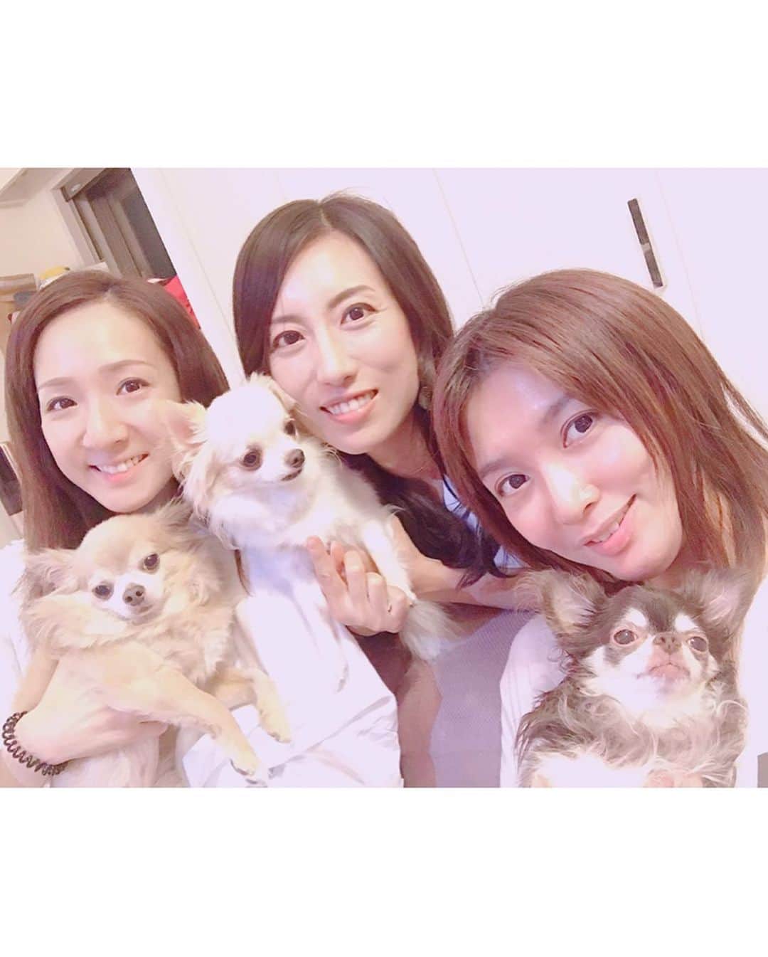 涼瀬みうとさんのインスタグラム写真 - (涼瀬みうとInstagram)「‪昨日の夜は久しぶりの犬会♡‬ ‪我が子は不参加🐶💦‬ ‪みんなで手料理を美味しくいただきました😋🍴💕‬ ‪気まぐれでお手伝いしたよ👩‍🍳💜←‬ ‪豚肉の豆苗巻き、簡単だし美味しかったので、お家でもやろーっと✍️😉‬ ㅤㅤㅤㅤㅤㅤㅤㅤㅤㅤㅤㅤㅤ ‪これからの季節は、きっと定期的に集まりそうな予感😏🍲🍶‬ ‪たのしみ！‬ ㅤㅤㅤㅤㅤㅤㅤㅤㅤㅤㅤㅤㅤ #犬会 #女子会 #蓮城まこと #朝風れい #ショコシュガくるみ🐶」9月20日 14時54分 - sanae3337777777