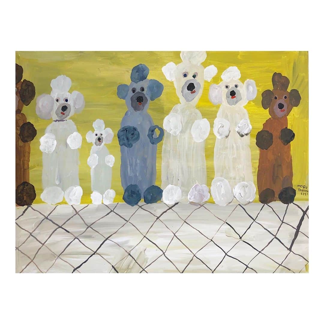 Mogu Takahashiのインスタグラム：「Poodles on the table 730x920mm Gouache on canvas / 2019 #mogutakahashi」