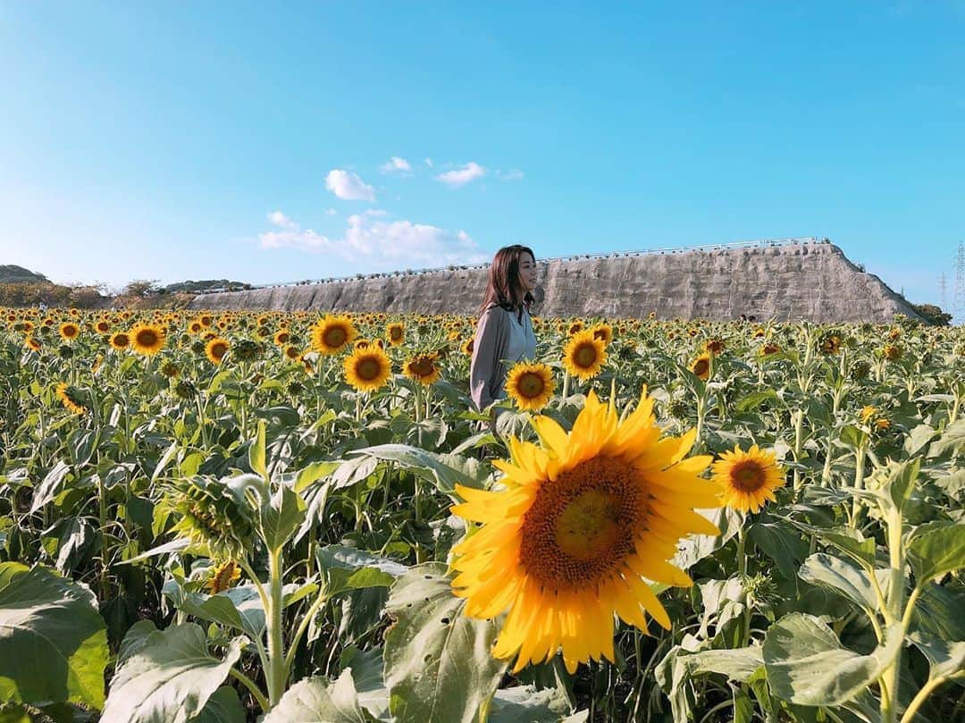 野木久美子のグルメインスタ