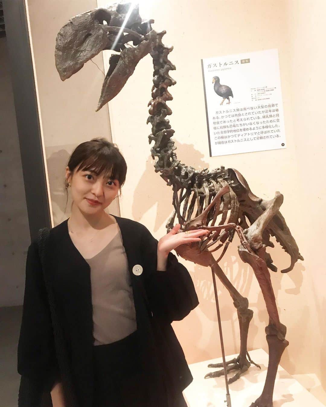 斉藤瑞季のインスタグラム：「本当に、この世界に恐竜がいたと思うと神秘的だなぁ。 北海道のむかわ町で発見された恐竜の骨も展示されてた。🦕 日本にもちゃんといたんだね〜。 ロマン溢れる恐竜博おすすめです💗  2枚目は5歳の姪に教えてもらった すみっこぐらし🥺笑  #恐竜博 #恐竜博2019  #ガストルニス  #すみっこぐらし」