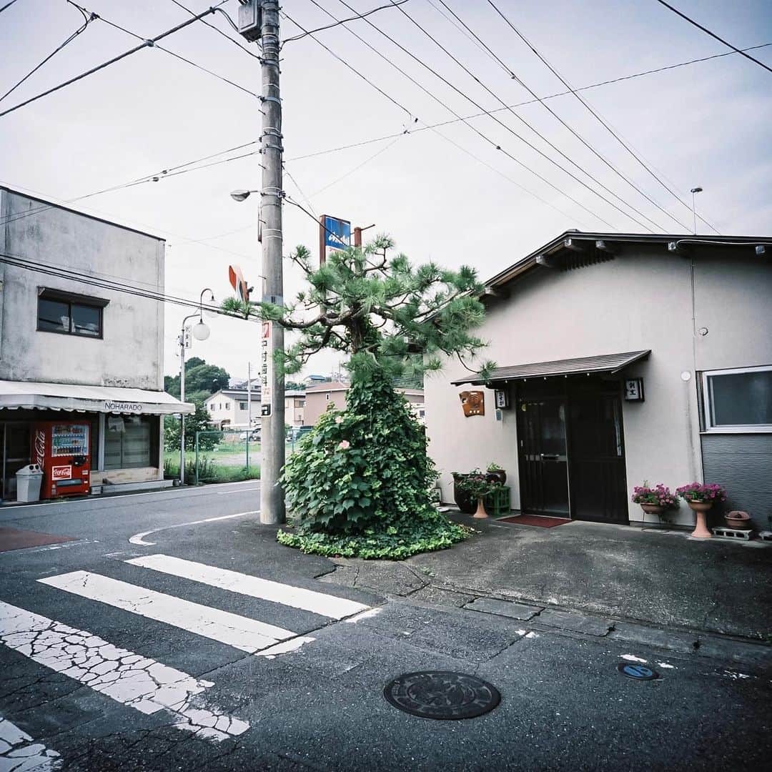 小宮山桂のインスタグラム：「#LCA120#PRO400H#lightroom」