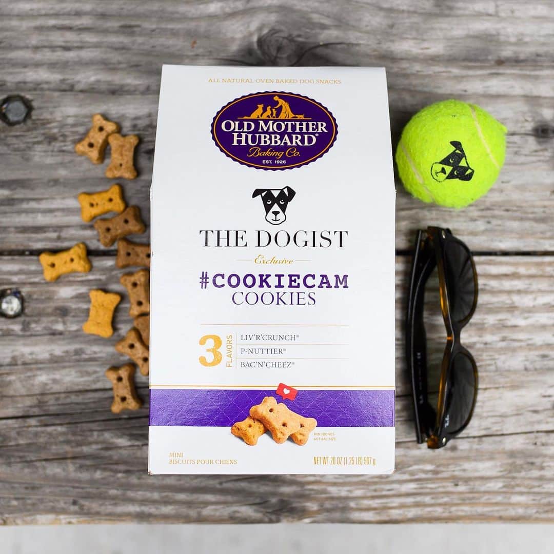 The Dogistさんのインスタグラム写真 - (The DogistInstagram)「#COOKIECAM cookies are here! I’ve photographed over 30,000 dogs and just about every one I’ve met loves these cookies from our official cookie partner, @oldmotherhubbarddogsnacks. To celebrate, we will be hosting the first ever DOGIST DOGS meet up – aka the “Cookie Committee”. I will be at Tompkins Square Park tomorrow from 1-3pm with @keepingfinn, @wafflenugget and @simonsits giving dogs cookies and meeting all of you. The Cookie Committee even deemed these cookies as “Certified Cronchy”, their highest honor. Get a box of these exclusive treats and use #cookiecam to see if your dog can catch one out of the air, and hopefully we’ll see you tomorrow! Available now at the link in bio」9月21日 0時52分 - thedogist