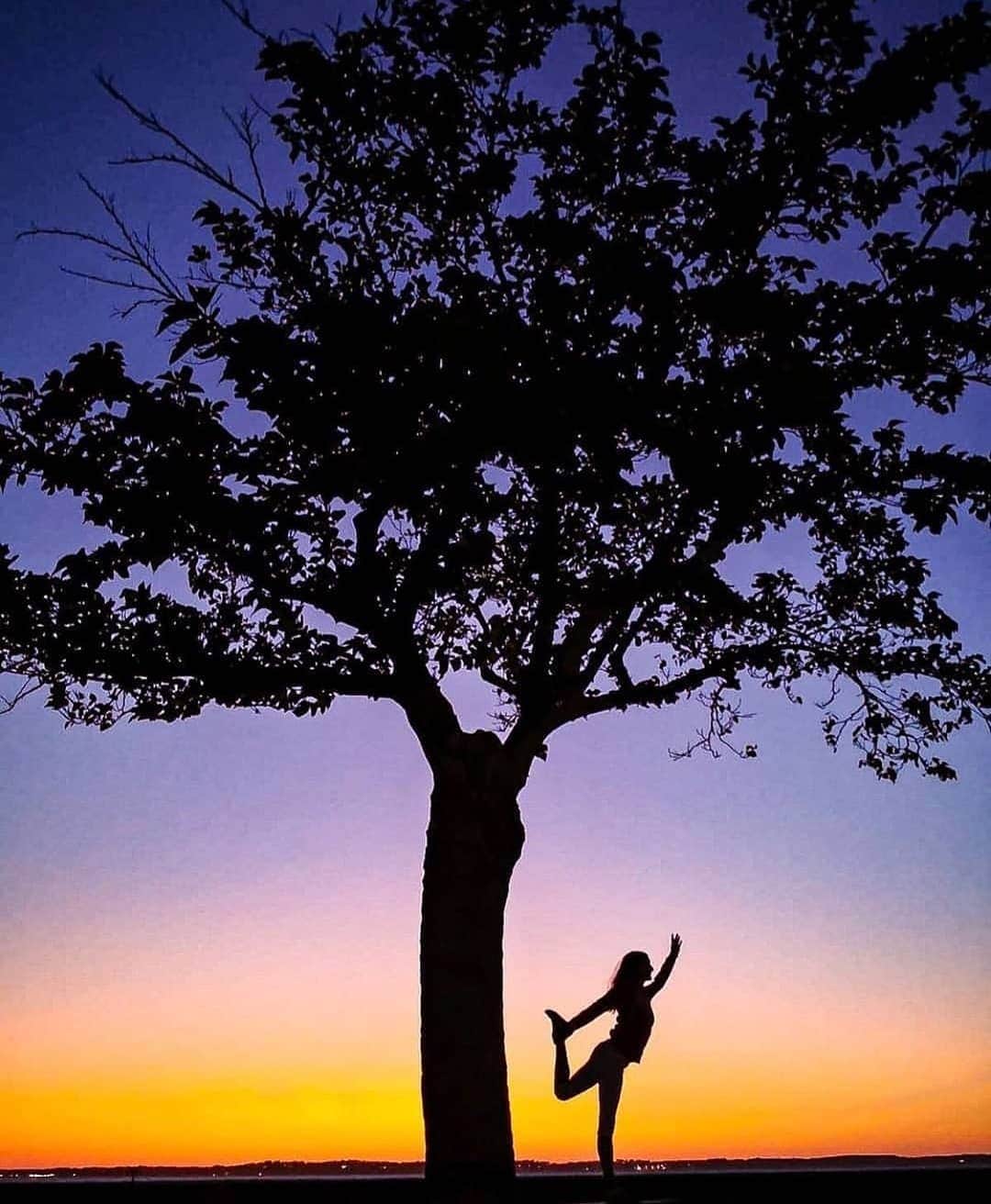 のインスタグラム：「Balance with the tree with this photo by @aaudrey_yerduaa at @igersfrance 😍📸🙌 #igersfrance #igers」