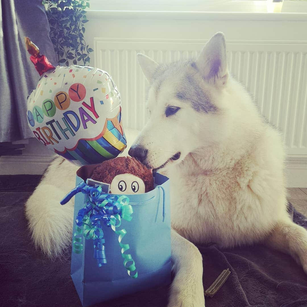 トニア・コーチさんのインスタグラム写真 - (トニア・コーチInstagram)「Happy birthday to my beautiful boy 🎂 6 today!!!! Love you millions @nanookcouch」9月20日 16時47分 - toniacouch