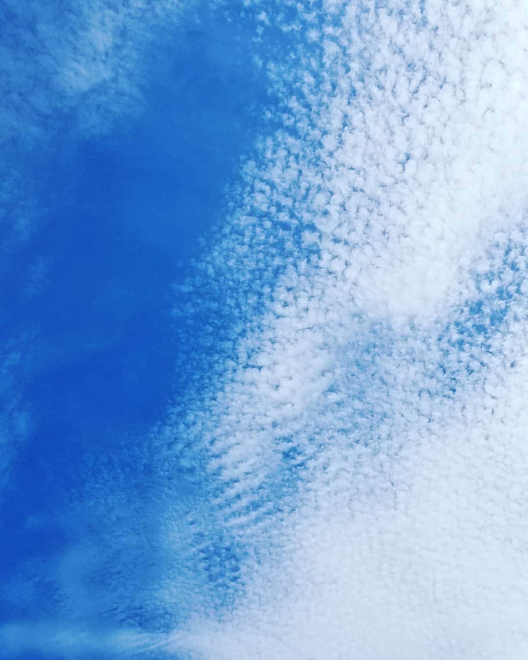 谷口キヨコさんのインスタグラム写真 - (谷口キヨコInstagram)「午前中はほんまに素晴らしい秋の空でしたね。つらいことがあっても上を向いて、とか、見上げて、とか、ほんまですね。青空に元気もらえますね。」9月20日 16時55分 - kiyokotaniguchi