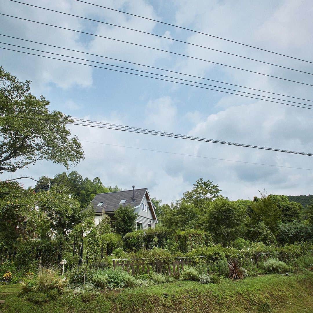BESSの家さんのインスタグラム写真 - (BESSの家Instagram)「家の裏手には竹林があり、持ち主の方のご好意でタケノコ狩りをやらせてもらうことも。ここには、自然と、人のやさしさに包まれた暮らしがありました。 . https://www.bess.jp/ .	 #BESSの家 #住むより楽しむBESSの家 #住むより楽しむ #スローライフ #カントリーログ #木の家 #ログハウス #BESSオーナーの暮らし #BESSユーザーの暮らし #LOGWAY #梺ぐらし #暮らし #暮らしを楽しむ #自然とつながる暮らし #庭づくり #庭 #ガーデニング」9月20日 18時20分 - bess_slowlife
