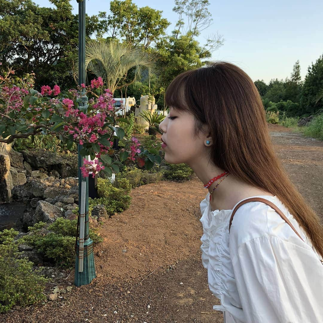 レイチェルさんのインスタグラム写真 - (レイチェルInstagram)「🌹」9月20日 18時21分 - castlechel_0824