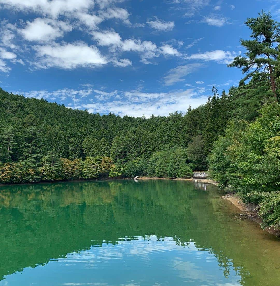 池辺愛さんのインスタグラム写真 - (池辺愛Instagram)「🍇🍇🍇 先日、山梨へブドウ狩りに行ってきました😉 ・ ・ ・ 30分コースと時間無制限コースがあって、迷ったけど、時間無制限コースをチョイス🙋‍♀️ よ〜し！食べまくるぞ〜！ と張り切ってスタートしたものの、1房食べたら早くもお腹いっぱい😳 え😧そんなはずはない💦 と、2房目も勢いで食べて、時計を見たらまだ12分😅 ・ ・ ・ ひぇ〜🤣🤣🤣 ・ ・ ・ でもそこから粘って、結局1時間くらいは食べ続けました！ 娘が1番食べてたかもなぁ😆 甘くて美味しかった😋 ・ ・ ・ 南伊奈ヶ湖へも🦢 美しい景色と美味しい空気でリフレッシュできました🥰 ・ ・ ・ #山梨 #葡萄 #ぶどう狩り #南伊奈ヶ湖」9月20日 18時26分 - aiikebe