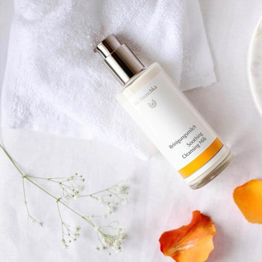 Dr. Hauschka Japan ドクターハウシュカのインスタグラム