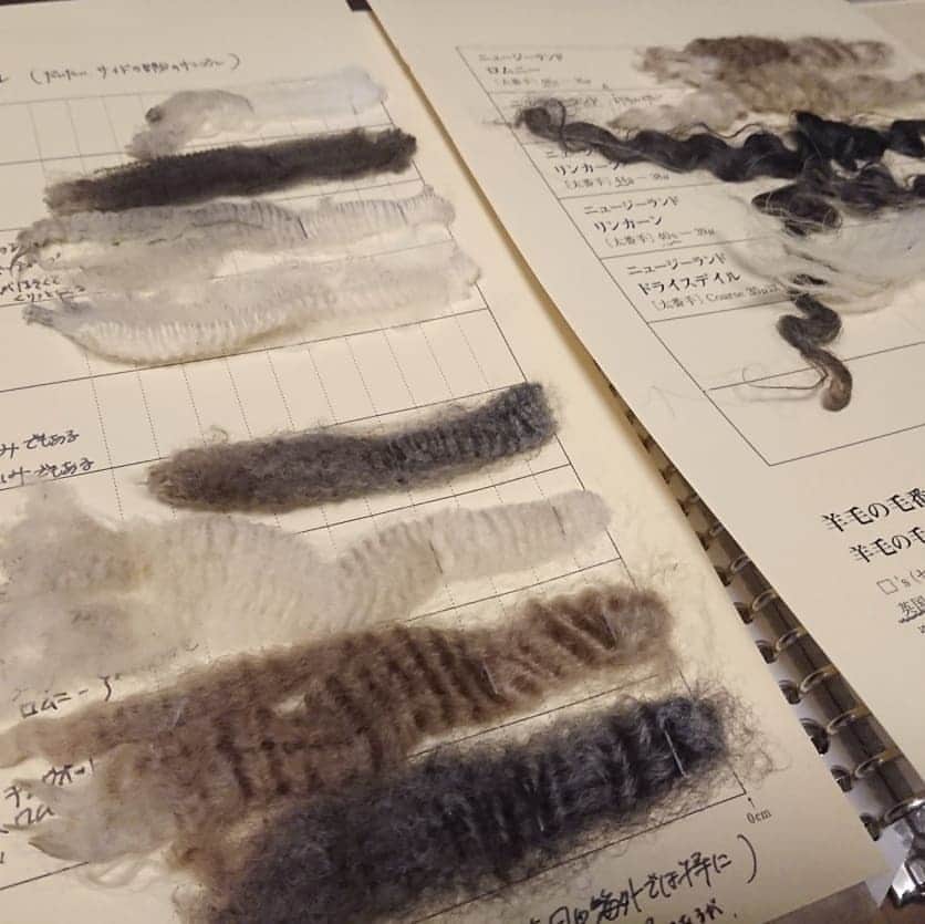 長久保智子さんのインスタグラム写真 - (長久保智子Instagram)「Tokyo Spinning Party 2019 " Wool material science " workshop. I wanted to participate for a long time. I studied a lot and it was a lot of fun！ * 東京スピニングパーティー2019,ワークショップ 「羊毛素材学-英国羊毛とニュージーランド羊毛を比較する」 今日はコレ、びっしり勉強～✏️ 去年からずっと出たかったワークショップなのでとっても楽しかった～。 Shetlandだけでなく色んな羊毛を知った上で！shetland を語りたい(笑)の💙 * #shetland #shetlandlace #shetlandsheep #shetlandwool #shetlandlaceknitting #shetlandknitting #spinningyarn #tokyospinningparty #spinningwool #spinnuts #東京スピニングパーティー2019」9月20日 19時01分 - satoko.tricot_the