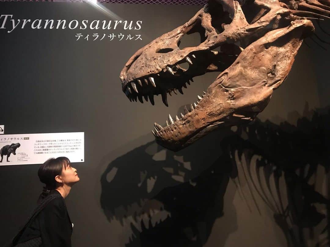 斉藤瑞季のインスタグラム：「ティラノサウルス🦖💗 #国立科学博物館  #恐竜博物館  #恐竜展  #ティラノサウルス  #tyrannosaurus」