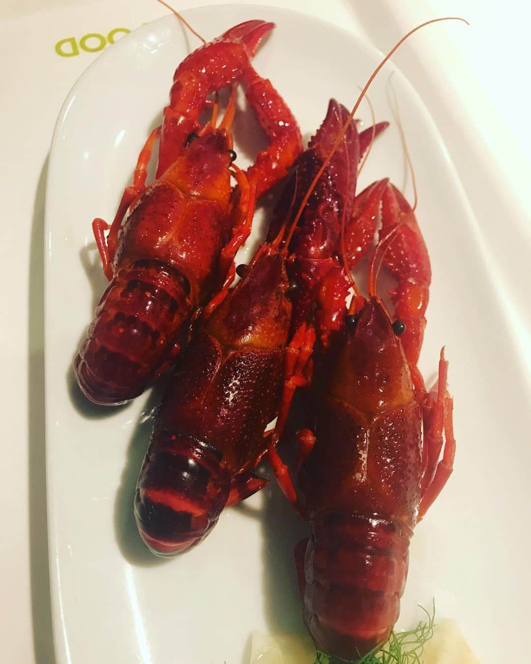 サムギョプサル和田のインスタグラム：「夏の思い出①IKEAのザリガニ #ikea #ザリガニ」