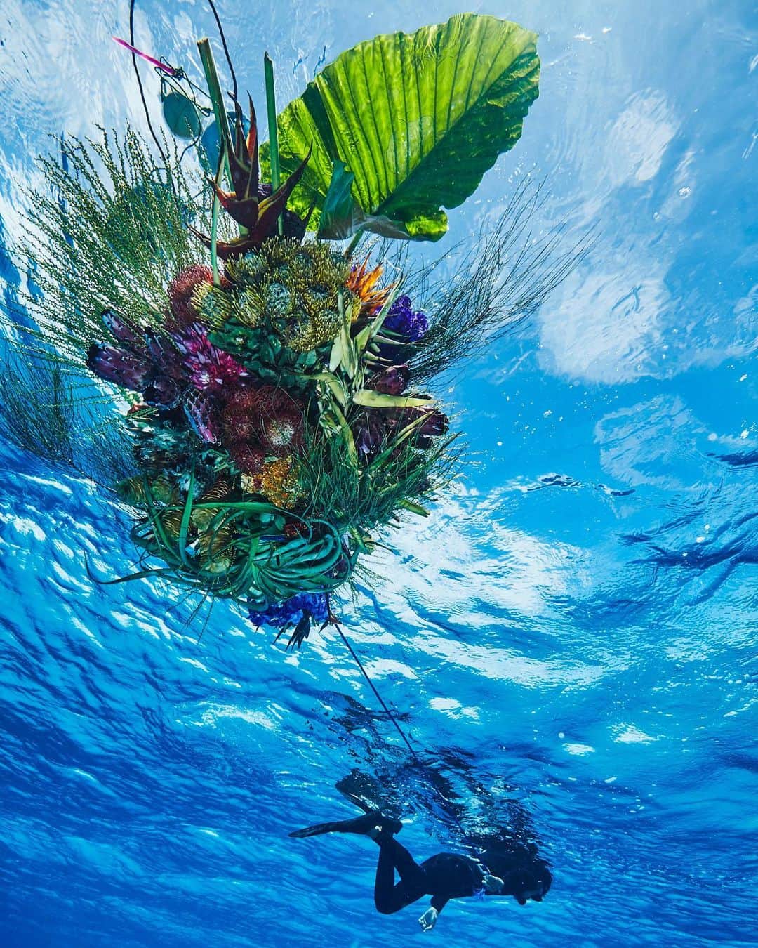 椎木俊介さんのインスタグラム写真 - (椎木俊介Instagram)「Save the Earth !!!!!!!!!!!!!!!!!!!!!!!!!!!!! A Fisherman and Flowers  This is a part of our new experimental project “Flower and Man” which focus on the relationship between Flowers and Humans, and capture it in various situations on this amazing planet.  Through our work, we always hope everyone open up the eyes on our precious nature and the earth, and love and respect it more and more.  #savetheearth #climatestrike #climatechange #azumamakoto #amkk #makotoazuma #東信 #東信花樹研究所 #shiinokishunsuke #flowerandman #fisherman #amkkproject #flowers #flowerart」9月20日 20時18分 - shiinokishunsuke