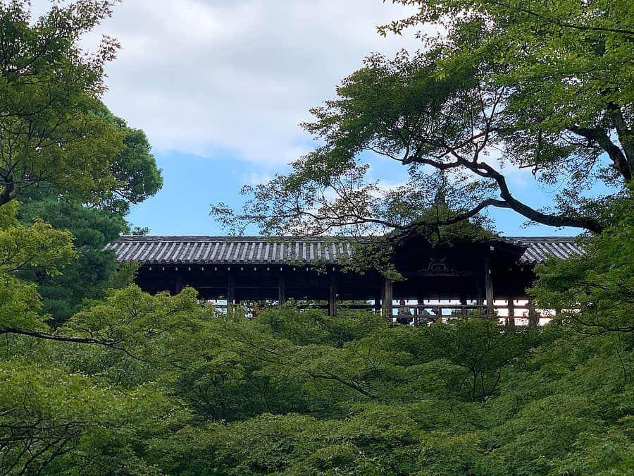 尾崎ななみさんのインスタグラム写真 - (尾崎ななみInstagram)「❁︎ ㅤㅤㅤㅤㅤㅤㅤㅤㅤㅤㅤㅤㅤ #そうだ京都行こう  ㅤㅤㅤㅤㅤㅤㅤㅤㅤㅤㅤㅤㅤ 伊勢から日帰りで、一瞬京都へ。 ㅤㅤㅤㅤㅤㅤㅤㅤㅤㅤㅤㅤㅤ #東福寺 では、緑色のもみじが綺麗だったな〜 ㅤㅤㅤㅤㅤㅤㅤㅤㅤㅤㅤㅤㅤ 夕方に行ったから、最後は人が少なくてゆっくり回れたし写真もいっぱい撮れた( ˊᵕˋ* ) ㅤㅤㅤㅤㅤㅤㅤㅤㅤㅤㅤㅤㅤ ガラス容器のミニチュアアートや、御朱印の文字を苔で書いたアートなども開催していたよ✧︎ ㅤㅤㅤㅤㅤㅤㅤㅤㅤㅤㅤㅤㅤ  ㅤㅤㅤㅤㅤㅤㅤㅤㅤㅤㅤㅤㅤ ㅤㅤㅤㅤㅤㅤㅤㅤㅤㅤㅤㅤㅤ  ㅤㅤㅤㅤㅤㅤㅤㅤㅤㅤㅤ ㅤㅤㅤㅤㅤㅤㅤㅤㅤㅤㅤㅤㅤ ㅤㅤㅤㅤㅤㅤㅤㅤㅤㅤㅤㅤㅤㅤㅤㅤㅤㅤㅤㅤㅤㅤㅤㅤㅤ  ㅤㅤㅤㅤㅤㅤㅤㅤㅤㅤㅤㅤㅤㅤㅤㅤㅤㅤㅤㅤㅤㅤㅤㅤ ㅤㅤㅤㅤㅤㅤㅤㅤㅤㅤㅤㅤㅤ  ㅤ  ㅤ  ㅤ ✧︎*⑅୨୧┈┈┈┈୨୧⑅* ❁︎⑅୨୧┈┈┈┈୨୧⑅✧︎*。 #京都#京都府#寺#寺巡り#紅葉#モシュ印#コケ寺リウム#京都観光#visitjapan#visit_kyoto#伊勢志摩アンバサダー#尾崎ななみ」9月20日 20時13分 - nanami_ozaki_73
