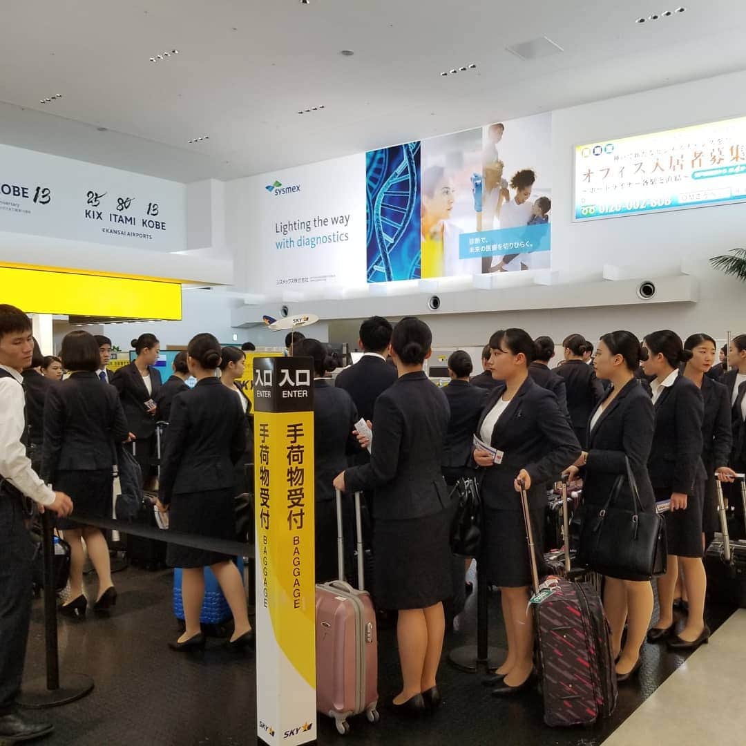 東京観光専門学校さんのインスタグラム写真 - (東京観光専門学校Instagram)「いよいよ国内研修旅行最終日✈️ 本日は神戸空港にて、スカイマーク様の研修を受けました。  CA、GS、GHの現役の方々から各お仕事についてのお話を聞き、到着便のお出迎えにも行かせていただきました。  帰りのスカイマークの機内では、 ご当地のイラスト入りのキットカットをみんなでいただきました✨  あっという間の3日間、いろんなことが起きました。 それぞれが今後の就職活動で 活かしてくれることを願います❗ みんな、お疲れ様でした👍✨ #エアライン#エアライン就職#キャビンアテンダント #グランドスタッフ #グランドハンドリング #空港 #神戸空港 #羽田空港  #スカイマーク  #飛行機  #航空業界」9月20日 20時24分 - tokan_1967
