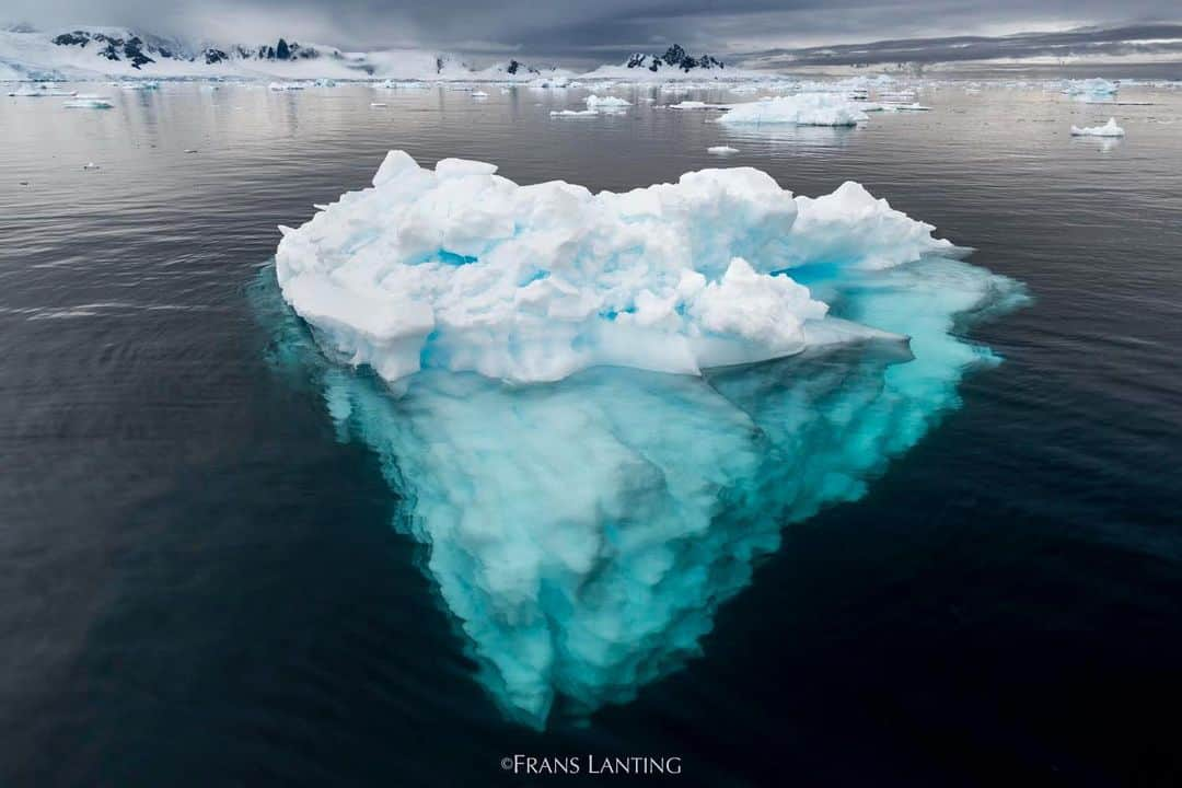 thephotosocietyさんのインスタグラム写真 - (thephotosocietyInstagram)「Photo by @FransLanting // Every iceberg tells a story. Each one is a snapshot of water frozen in time. I photographed this blue diamond along the Antarctic Peninsula in early summer knowing it would be gone in a few months. Ninety percent of all ice on Earth is contained by Antarctica, and as our planet warms, ice shelves and glaciers dislodge an ever-larger portion of it each year into the Southern Ocean, where most icebergs melt away in a single season—adding to sea level rise. That’s how the life cycle of ice far away affects everyone living along a sea coast anywhere.  A global #ClimateStrike will take place Friday, September 20, in advance of the UN Climate Action Summit, demanding action to address the climate crisis we are facing. The September 20 strike will kick off a week of actions capped by another strike on September 27. We urge you to take a stand with us. Together, let’s show our politicians we are serious about the fight against climate change. Join us, @FransLanting and @ChristineEckstrom, in this effort, and check the link in my instagram bio to find out about events in your community and how you can join the strike.  @thephotosociety @leonardodicaprio #Antarctica #Iceberg #ClimateStrike #ClimateCrisis #naturenow #strikewithus #globalwarming #savetheplanet」9月20日 20時53分 - thephotosociety