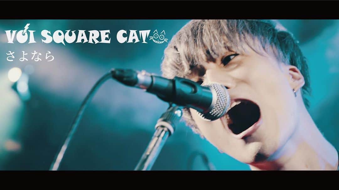 VOI SQUARE CATのインスタグラム