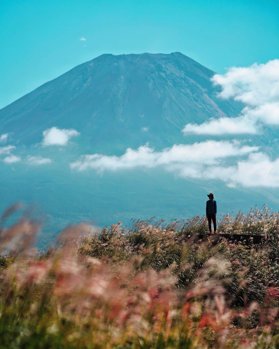 wacameraのインスタグラム：「#mtfuji × 135mm f1.8 普段35mmとかを愛用してるので135はなかなか距離感が掴めないけどうまーく背景がおさまるときがあって、これも好きです( ●´◡`● )」