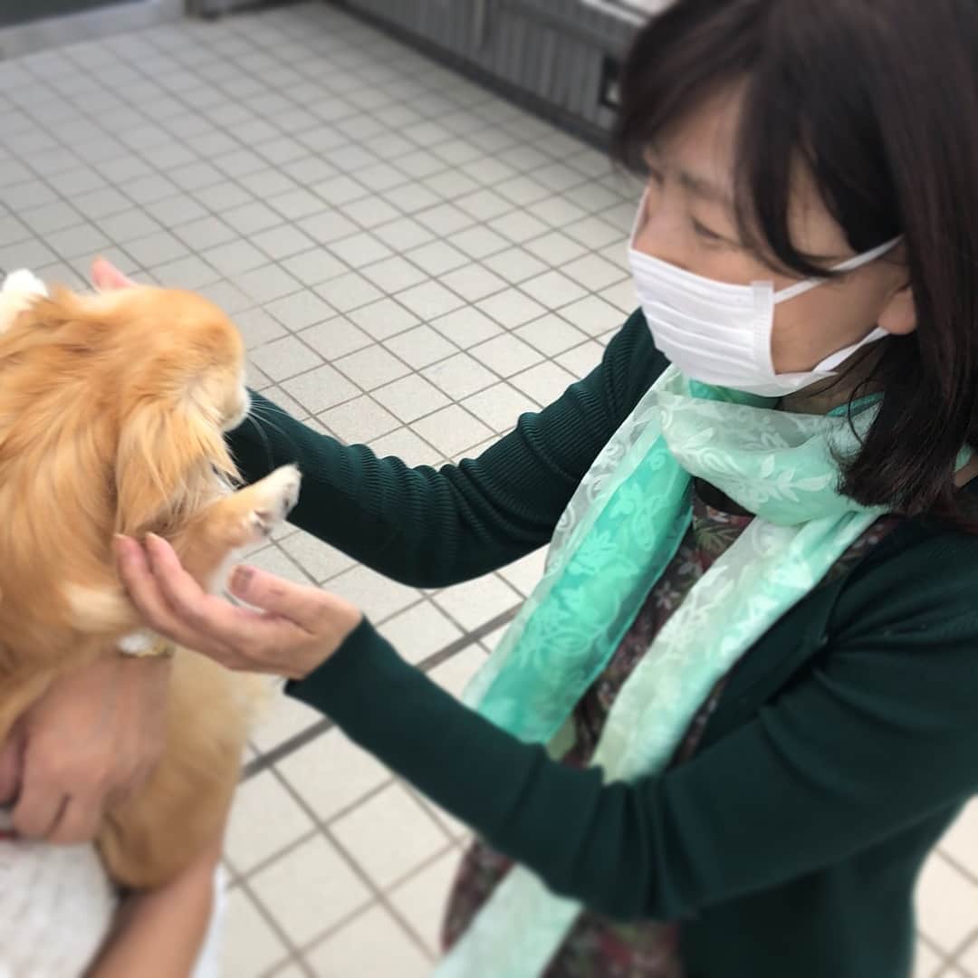 岡村孝子さんのインスタグラム写真 - (岡村孝子Instagram)「こんばんは。岡村孝子です😌  風の匂い。秋の花々。うろこ雲。  こんなに時間が経ったんだなあ。  無事に退院しました😊  まずは、ご報告です。」9月20日 21時18分 - okamuratakako_official