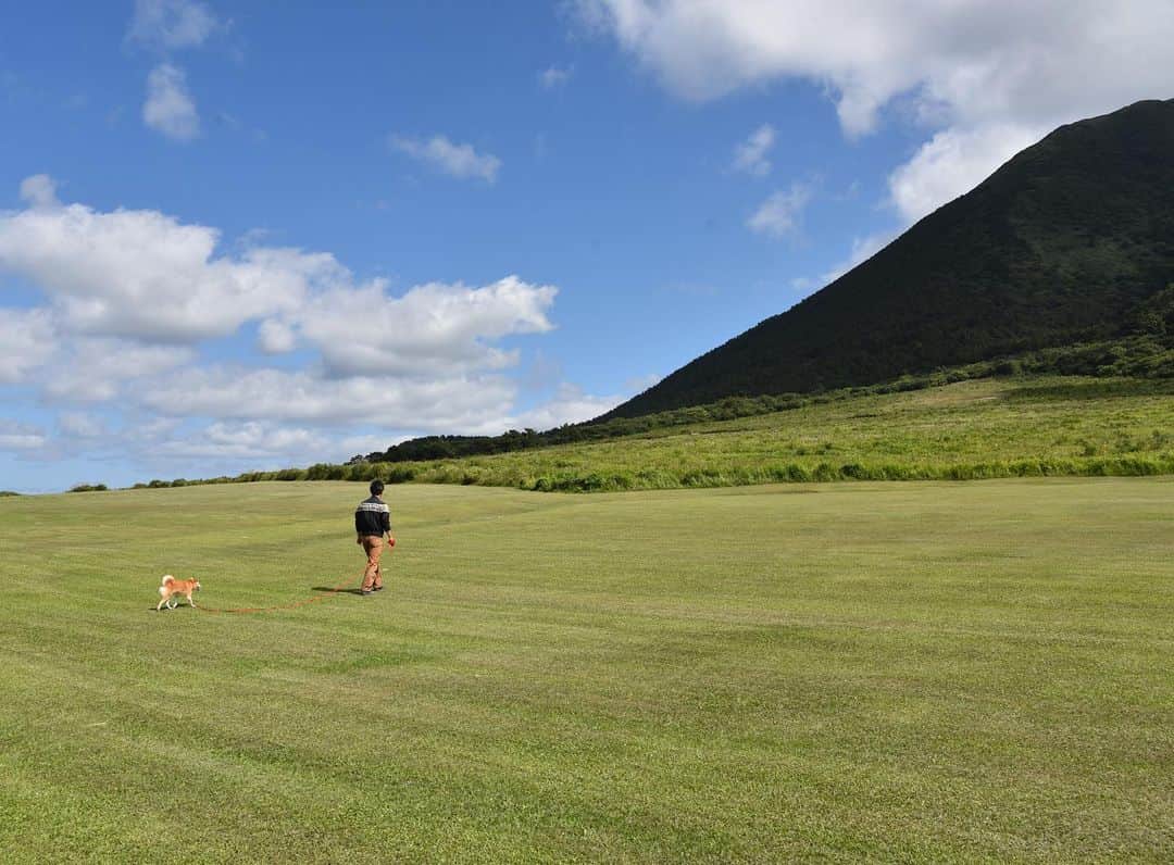 がんちゃんのグルメインスタ
