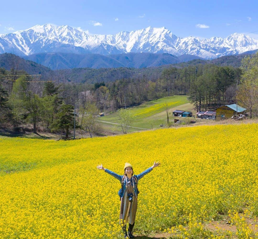 詩歩さんのインスタグラム写真 - (詩歩Instagram)「🌼﻿ ﻿ 快晴の北アルプス×菜の花の黄色い絨毯！ ﻿ The northern Japanese alps and canola flowers. ﻿ ﻿ 長野県大町市にある、毎年訪れてる #中山高原 。 ﻿ ﻿ 元スキー場だった場所に蕎麦の種を蒔いたら、 なぜか菜の花が咲き出して観光名所になっちゃった、という面白い場所です。 ﻿ ﻿ 晩夏には、同じ場所に白い蕎麦の花も咲くんですよ☺﻿ もう今年の見頃は過ぎちゃったかな〜。﻿ ﻿ 📺﻿ ﻿ こちらの春の中山高原ですが、テレビのロケで訪れていました🌱﻿ ﻿ ＜放送日＞﻿ 9月22日(日) 13時55分〜﻿ 「絶景プロデューサー詩歩がすすめる #おおまち女子旅 」﻿ 長野朝日放送にて放送予定﻿ ﻿ これまで私が何度も訪れている、長野県大町市を特集した番組です。﻿ 黒部ダムの玄関口であり、中山高原の菜の花や中綱湖の桜、そして間近でドーン！と望める壮大な山々が魅力の自然豊かな街です。﻿ ﻿ その大町市の中でも、わたしが特にオススメする「女子旅コース」をプロデュースさせていただき、﻿ そのコースを、アーティスティックスイミングで活躍された青木愛さん @aiaoki_official に巡っていただく番組になりました🌸﻿ ﻿ ﻿ 今週日曜日の放送！﻿ 長野県のみでのローカル放送ですが、ぜひぜひご覧ください！！！﻿ ﻿ ﻿ 📸7th May 2019 ﻿ 📍中山高原／長野県大町市﻿ 📍Nakayama Plateau／Nagano Japan﻿ ﻿ ﻿ ﻿ ©詩歩／Shiho」9月20日 22時12分 - shiho_zekkei