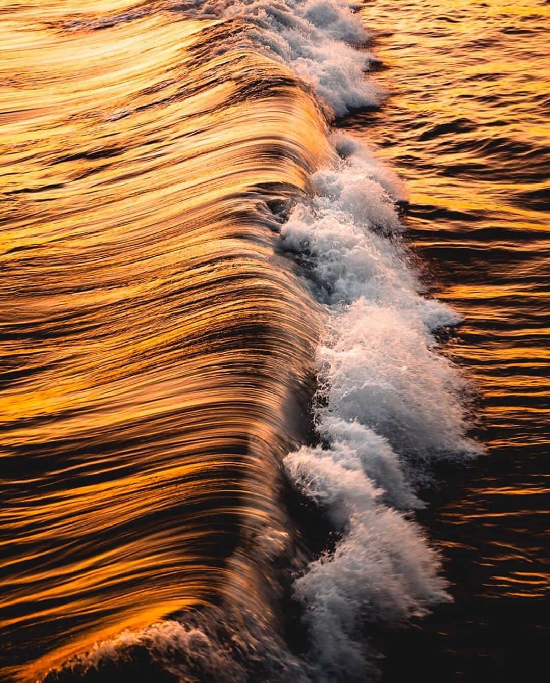 Canon Photographyさんのインスタグラム写真 - (Canon PhotographyInstagram)「There is something absolutely magical about waves. Not sure what it is, but watching them is awe inspiring.  Photography | @ryanlongnecker  #waves #dronephotography #aerialphotography #ocean #magical #sunrise #sunset」9月20日 22時34分 - cpcollectives