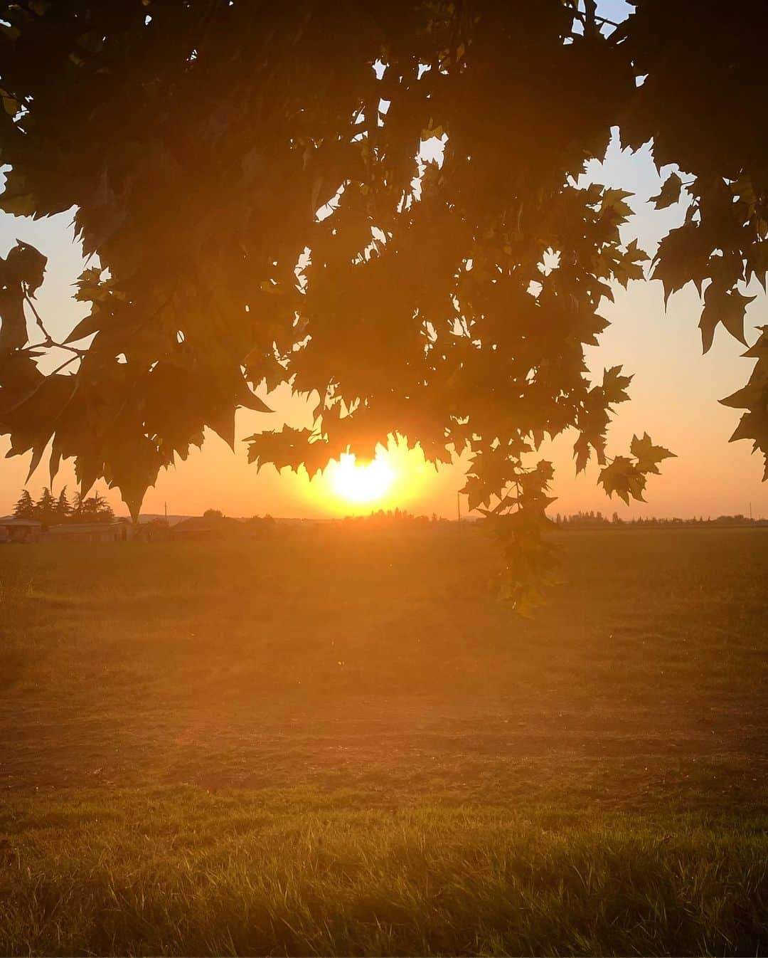 ミカエラ・シフリンさんのインスタグラム写真 - (ミカエラ・シフリンInstagram)「The magical cliche of wearing a flowery dress to dinner at a beautiful rustic Italian villa at sunset🤩🤩」9月20日 22時34分 - mikaelashiffrin