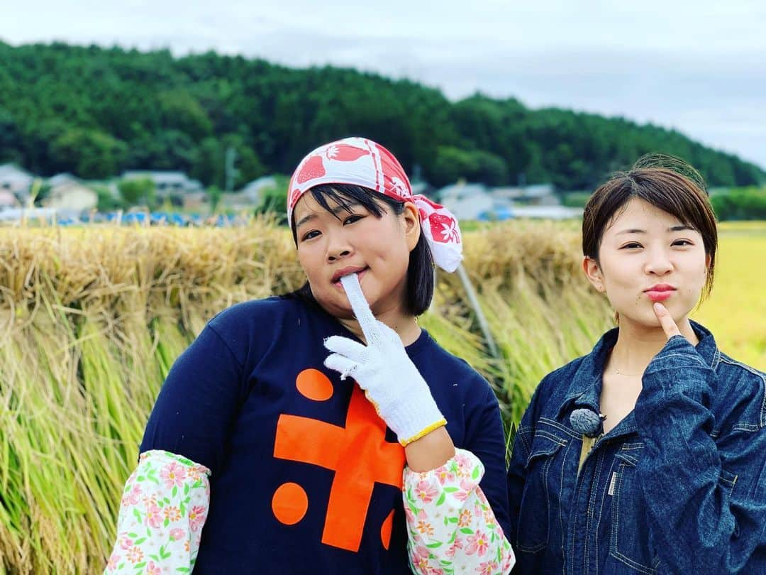 工藤淳之介さんのインスタグラム写真 - (工藤淳之介Instagram)「酒造りプロジェクトは稲刈り！ 実ってたーーー🌾 この放送は10月5日のなじラテにて！ あすは全員注目のコーナーで 片付け術やりますよ👀  #なじラテ #酒造り #稲刈り #実りの秋 #収穫の秋  #初体験 #手刈り #筋肉痛  #休憩 #さつまいも #ナスの漬物 #美味すぎた #強力助っ人 #地元の方々 #感謝感激  #はざかけ #秋の景色 #黄金色  #bsn #アナウンサー #実るほどこうべを垂れる稲穂かな  #稲穂に学ぶ #工藤淳之介」9月20日 23時10分 - kudojun_nosuke_bsn