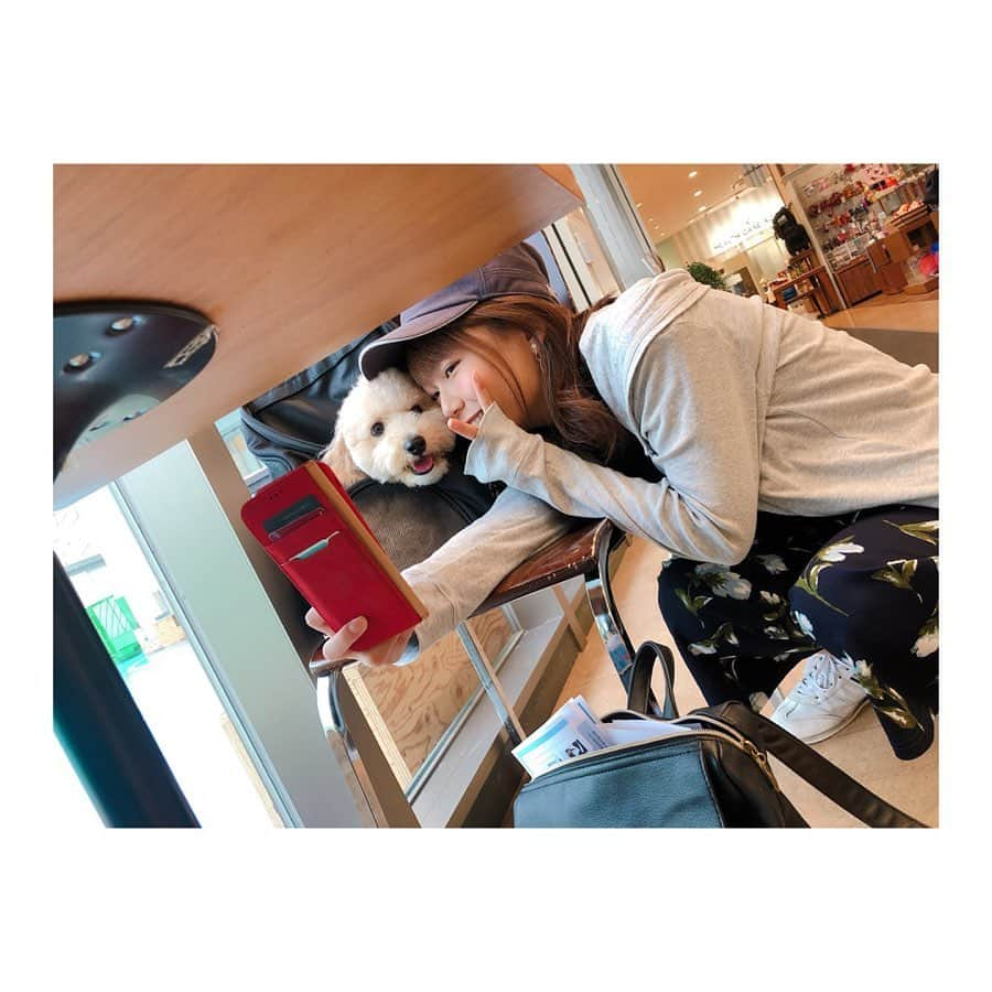 優木瑛美さんのインスタグラム写真 - (優木瑛美Instagram)「急な思いつきでドッグランへ🐶 . 車でゆうちゃん(@moco311mama)を拾って西宮ガーデンズのハロードッグに行ってきました！ . レオンとゆうちゃんの愛犬モコは全然仲良くならずww次に持ち越し😏 . ドッグランで遊んだ後はゆうちゃんの家でパーティしてのんびり👏🏻❤️ . 非常にいい休日だった！！！ . 👍🏻 . #阪急西宮ガーデンズ #ハロードッグ #ドッグラン #レオン #モコ #ビショプー #ポメラニアン #♂」9月20日 23時23分 - emi_yuuki