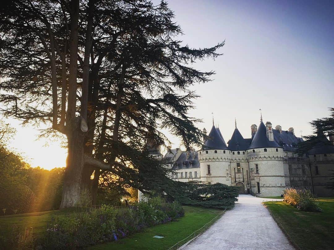 椎木俊介のインスタグラム：「Botanical Sculpture in Chaumont-sur-Loire  Date: September 21-22, 2019 Time: 10:00-19:30 (Sat/Sun) /  16:00 gift the flowers to visitors on Sunday Location: Chaumont-sur-Loire, France  #azumamakoto #makotoazuma #amkk #東信 #東信花樹研究所 #botanicalsculpture #chaumontsurloire #france」