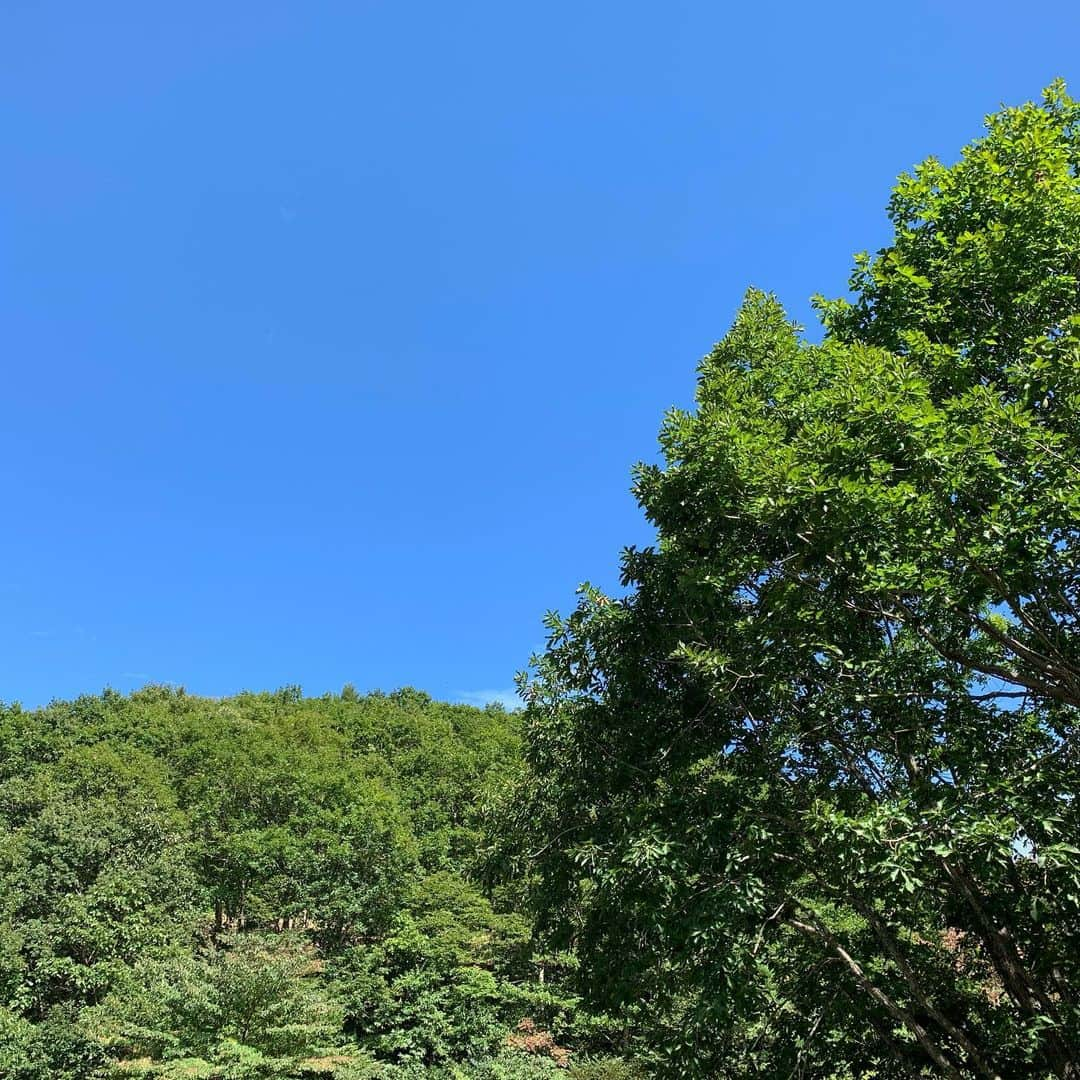 内山信二さんのインスタグラム写真 - (内山信二Instagram)「今日は朝から岡山県で ボートレーサーの茅原悠紀くんと ロケ〜😆😆😆 ランボルギーニに乗せてもらったり 色々食べたりと最高の1日になりました！！！ #茅原悠紀  #めちゃくちゃいい人 #もともとファン #会ったら #さらにファンになる！ #ランボルギーニ #岡山県 #ロケ」9月21日 0時03分 - meetbowl2929