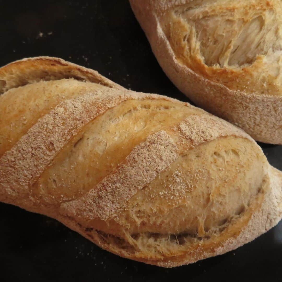 魔女菅原のグルメインスタ