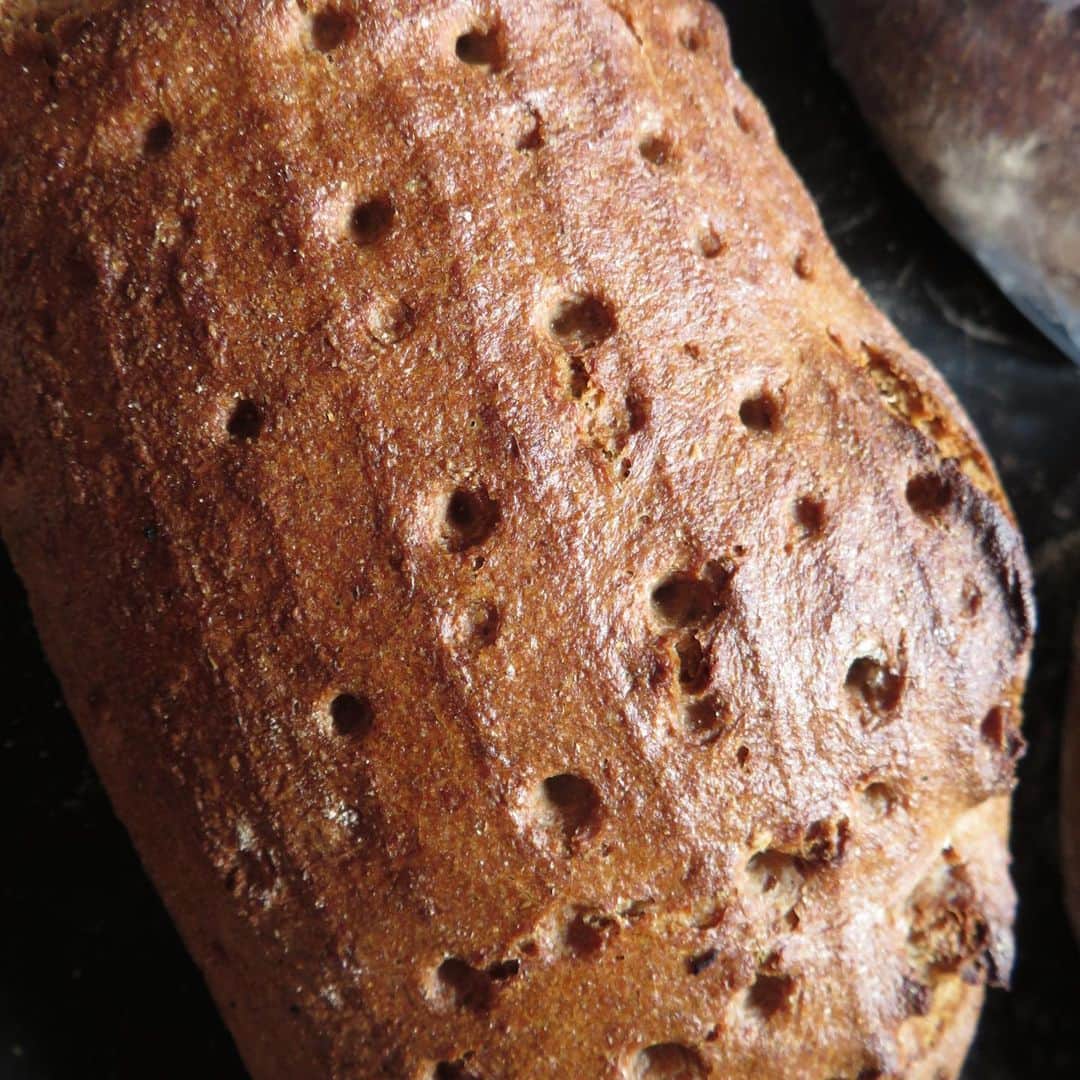 魔女菅原のグルメインスタ