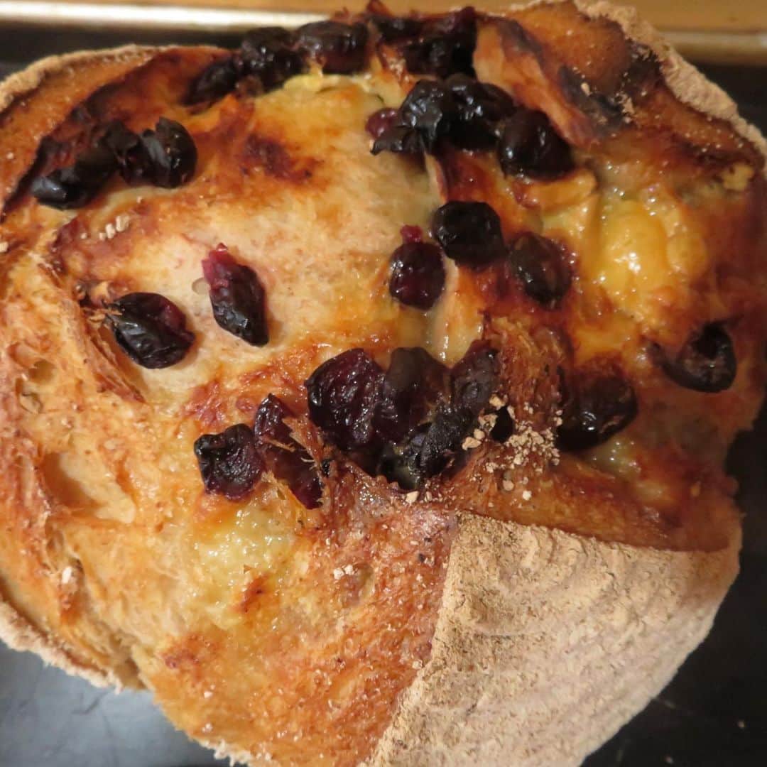 魔女菅原のグルメインスタ