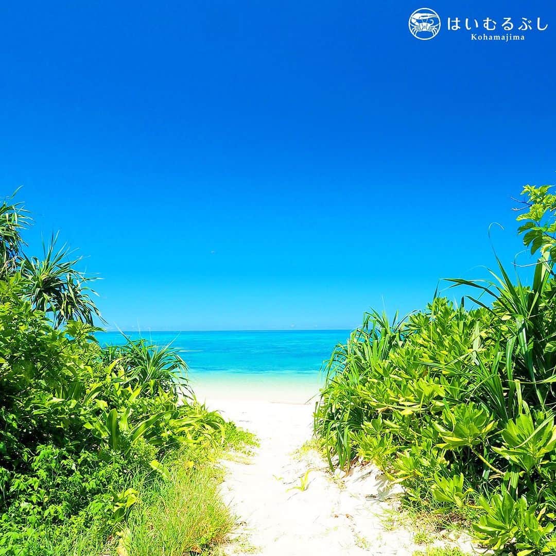 HAIMURUBUSHI はいむるぶしさんのインスタグラム写真 - (HAIMURUBUSHI はいむるぶしInstagram)「サンゴ礁の海へと続く白い道… 緑の垣根を抜けると青く煌めく八重山ブルーの海が水平線の彼方まで広がっています。 #沖縄 #八重山諸島 #サンゴ礁 #青い海 #白い砂浜 #小浜島#リゾート #はいむるぶし #japan #okinawa #yaeyamaislamds #coral #bluesea #whitebeach #ishigakijima #kohamajima #beachresort#haimurubushi」9月21日 2時00分 - haimurubushi_resorts
