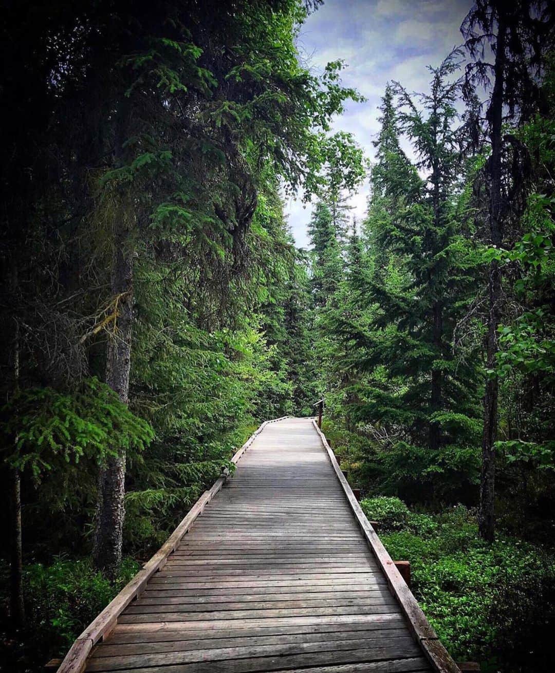 Grace Bonneyのインスタグラム：「[📸 by @alaskafromscratch ] So I finally did the thing I’ve been wanting to do, but have been to scared to: I just booked a solo trip to 🌲Alaska🌲. I’m leaving in less two weeks and I’m hoping to drive around the Kenai Peninsula and just take some time to clear my head and soak in all that Alaska has to offer. I wondered if anyone might have any suggestions of cool places to stay in Homer or anywhere in the Kenai area? I’m just renting a car and seeing where the days take me, so I’m open to anything with a great view of nature. Also visiting Sitka at the end of the trip- any spots I should see? Part of me is truly scared to go so far from home (and all the things that make me feel safe) but another part of me knows this is something that will be good for me to do and that I’m darn lucky to even have the chance to do it. So, Alaska friends and travelers- what should I do with my four days of driving around the Peninsula on my own? 🚙 (also considering a day drive up to Talkeetna!)」