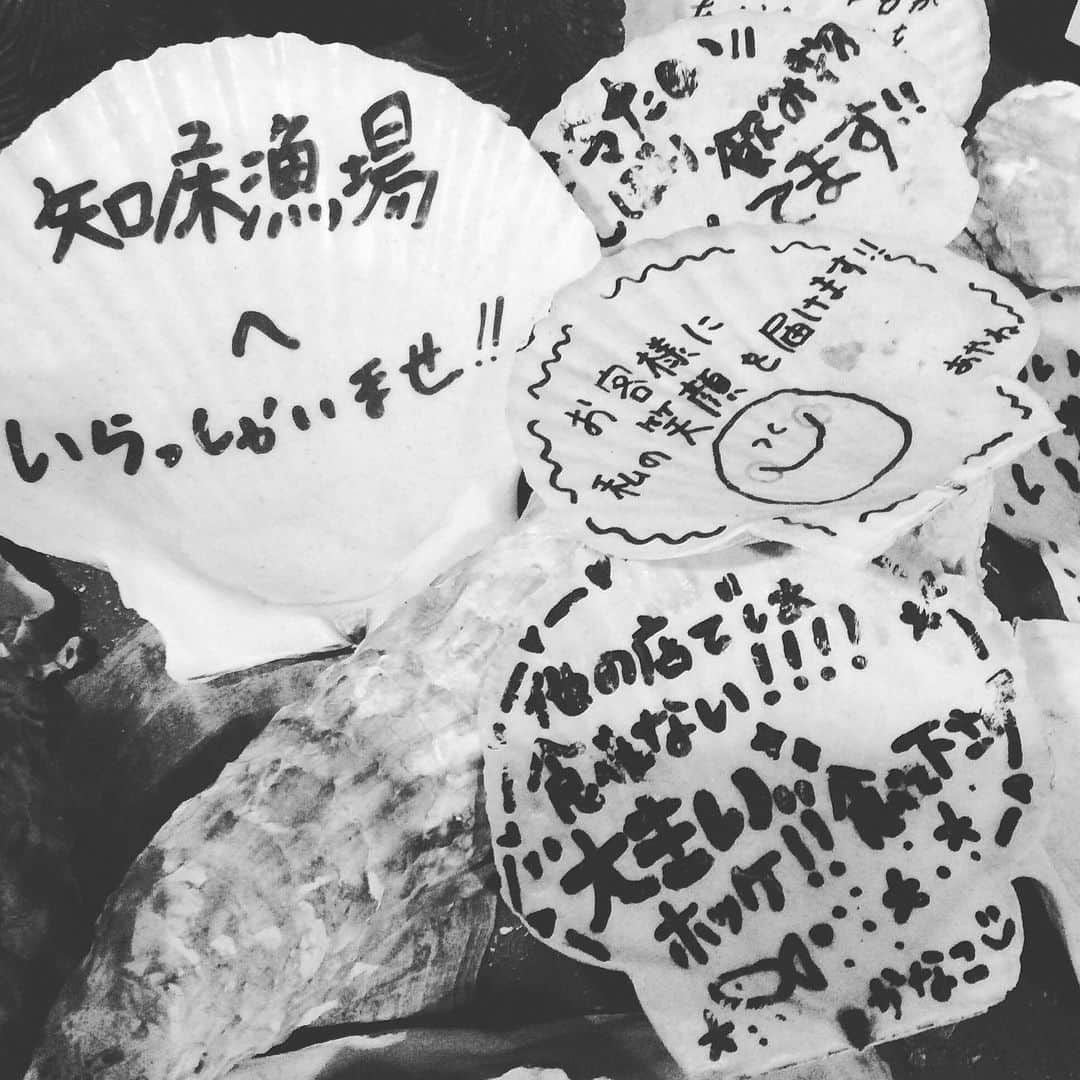 知床漁場寝屋川店さんのインスタグラム写真 - (知床漁場寝屋川店Instagram)「毎度おおきに〜🍶知床漁場寝屋川店です😋本日は雨の中たくさんのご来店ありがとうございます！明日も雨見たいですが元気に営業しておりますのでご来店お待ちしております(*´∀｀*)#北海道#知床#寝屋川#安い#飲み放題#鮮魚#イクラ#日本酒#宴会#大衆#お待ちしております」9月21日 4時19分 - shiretoko.neyagawa