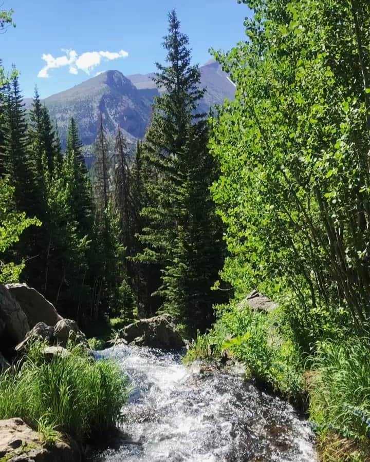 Nicole Mejiaのインスタグラム：「When you open yourself up to the world, the universe opens itself up to you. ⛰🌲🌎✨🌌」