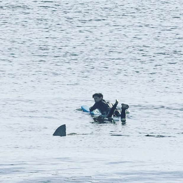 マイケル・ミュラーさんのインスタグラム写真 - (マイケル・ミュラーInstagram)「White shark cruising by a surfer this am off East coast.  Happy that the shark ignored him like they do 99.9% of the time. This happens so many times daily and we never know. Photo Joe Mault」9月21日 5時05分 - michaelmuller7