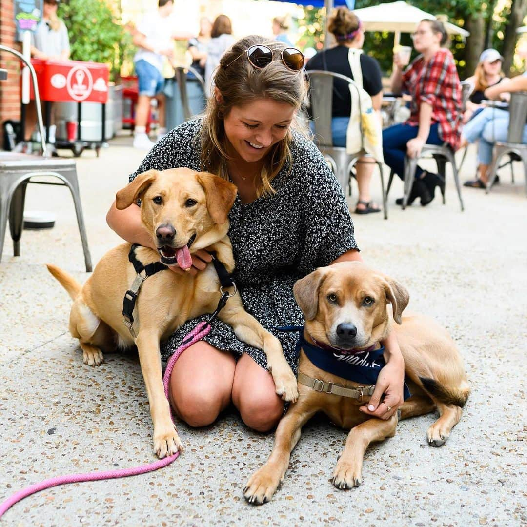 The Dogistさんのインスタグラム写真 - (The DogistInstagram)「Thanks to everyone who came out yesterday for the event at @graduateathens. There were one-eyed dogs, a 16 y/o dog, the UGA mascot Hairy-Dawg, 3 adoptable puppies from @athenshumanesociety (who all found homes), two failed guide dogs, two Finns, and many more. See everyone at @graduateannarbor on 10/24! #sponsored」9月21日 5時54分 - thedogist