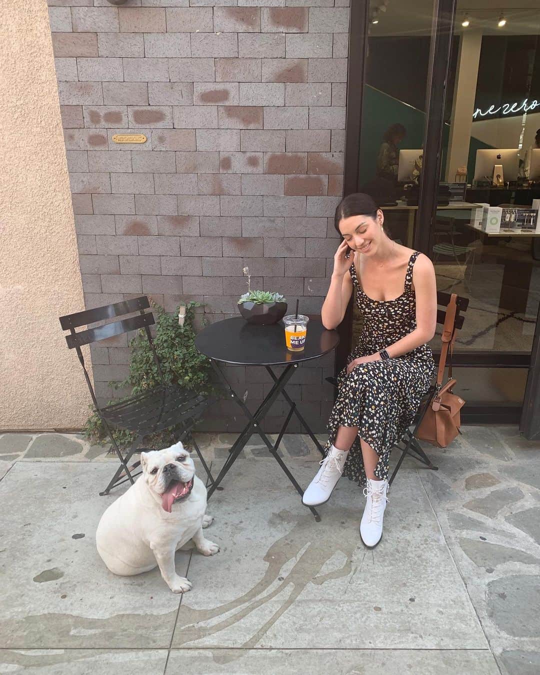 アデレード・ケインのインスタグラム：「High quality dog content」