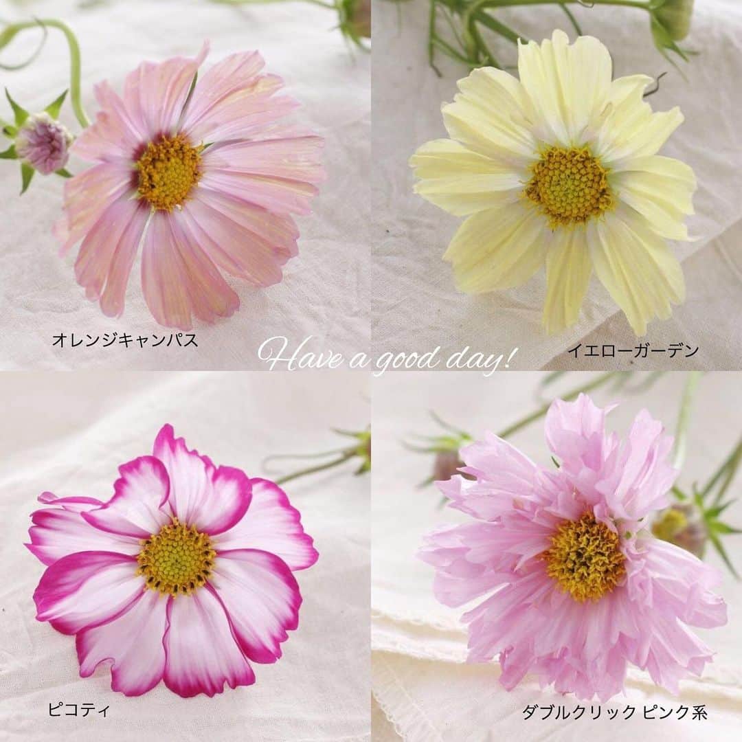 雑誌『花時間』のインスタグラム