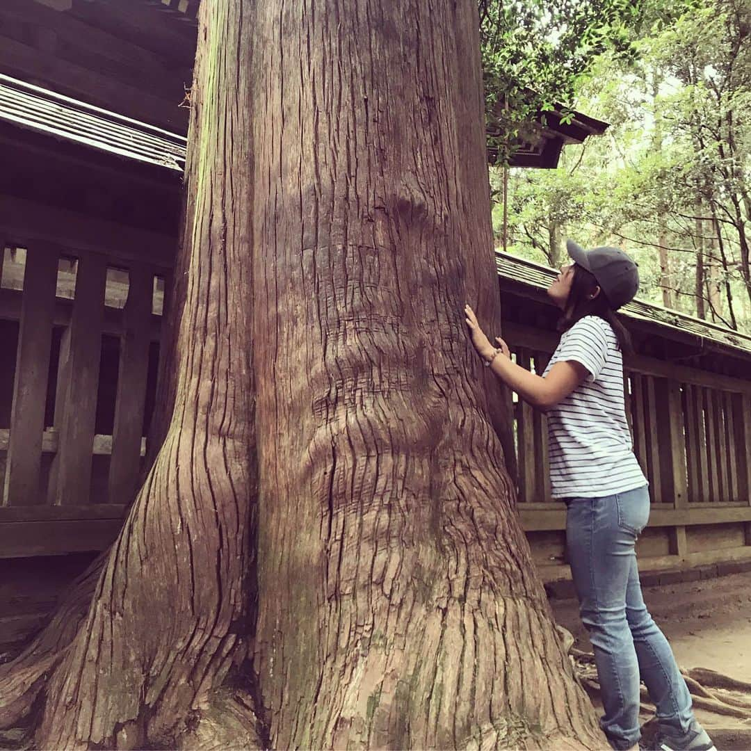 古江彩佳さんのインスタグラム写真 - (古江彩佳Instagram)「#鹿島神宮 あゆ好きなのに#鮎の塩焼き 食べちゃいました笑 木の間が♡になってるのびっくりした😳 #でっかい木#御神木」9月21日 19時09分 - ayaka_furue27