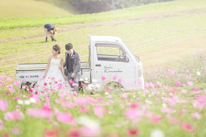 デコルテウエディングフォトグループさんのインスタグラム写真 - (デコルテウエディングフォトグループInstagram)「秋の前撮りは、コスモス畑が人気💓 そのの3つ理由とは？一面ピンク色のお花に囲まれ、かわいらしい結婚写真を撮影しよう💍﻿ ﻿ 秋のお花といえば、やっぱりコスモス！﻿ これから10月にかけて見頃をむかえ、﻿ ロケ撮影の人気スポットとなること間違いなし😊﻿ ﻿ 本日は、コスモス畑で前撮りを撮影する﻿ "3つのメリット"を花嫁の皆様にご紹介します♩﻿ ﻿ 【１】﻿ ピンクのお花に囲まれるかわいらしい世界観💓﻿ ﻿ 薄いピンクや山吹色など様々なピンク色が﻿ 見られるコスモス畑は女子の憧れ。﻿ 「THE お花畑」な写真が撮れるので、﻿ かわいらしい世界観が好きな花嫁様におすすめです！﻿ ﻿ 花言葉は「乙女の純潔」と王道な清楚なイメージに。﻿ ﻿ 【２】﻿ 秋の涼しく良い気候の中で撮影が可能☀︎﻿ ﻿ 秋が来るまで、雨の多い梅雨や台風、﻿ ジリジリ暑い夏が続いていたので﻿ ロケーション撮影には少し大変な季節でしたよね💦﻿ ﻿ 秋になればもう大丈夫！心地よく撮影ができるはず。﻿ コスモス畑は公園で撮影することが多いので、﻿ 動きやすいドレスがおすすめです✨﻿ ﻿ 【３】﻿ 新緑の撮影もできる！安定した撮影シーズン﻿ ﻿ 場所にもよりますが、コスモス撮影のシーズンは﻿ 一般的には10月中と言われています♩﻿ まだまだ緑も残っているので、人気の新緑撮影と﻿ 合わせて撮影を行うことも可能📸﻿ ﻿ 10月のコスモスシーズンの特権です💕﻿ 秋冬の挙式に向けた撮影にもおすすめ！﻿ ﻿ ﻿ ロケーション撮影や前撮りのご質問などは﻿ プロフィールのリンクからどうぞ📩﻿ @decollte_weddingphoto﻿ ご連絡、お待ちしております！﻿ ﻿ ﻿ 📷1〜3枚目﻿ photographer @k_nakamura_studioaqua﻿ studio @studioaqua_asakusa﻿ ﻿ 📷4枚目﻿ photographer @m.kohama_tvb﻿ studio @studiotvb_umeda﻿ ﻿ 📷5〜6枚目﻿ photographer @yosuke.kamida﻿ studio @studiotvb_umeda﻿ ﻿ 📷7枚目﻿ photographer @s.mochizuki_studio8﻿ studio @studio8_nagoya﻿ ﻿ ﻿ #令和婚 #2019秋婚 #2019年秋婚 #ウェディングフォト #結婚写真 #フォトウェディング #ウェディングニュース #ロケーション撮影 #前撮り #後撮り #卒花嫁 #結婚準備 #花嫁 #d_weddingphoto #フォトジェニックブライドアンバサダー #日本の絶景 #絶景 #コスモス #秋の花 #ロケ前撮り #ロケーション前撮り #洋装前撮りロケーション #洋装前撮り #全国のプレ花嫁さんと繋がりたい #日本中のプレ花嫁さんと繋がりたい #全国の花嫁さんと繋がりたい #プレ花嫁 #コスモス畑 #秋花 #秋の景色」9月21日 19時23分 - decollte_weddingphoto