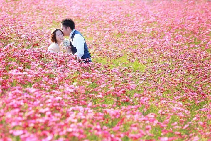 デコルテウエディングフォトグループさんのインスタグラム写真 - (デコルテウエディングフォトグループInstagram)「秋の前撮りは、コスモス畑が人気💓 そのの3つ理由とは？一面ピンク色のお花に囲まれ、かわいらしい結婚写真を撮影しよう💍﻿ ﻿ 秋のお花といえば、やっぱりコスモス！﻿ これから10月にかけて見頃をむかえ、﻿ ロケ撮影の人気スポットとなること間違いなし😊﻿ ﻿ 本日は、コスモス畑で前撮りを撮影する﻿ "3つのメリット"を花嫁の皆様にご紹介します♩﻿ ﻿ 【１】﻿ ピンクのお花に囲まれるかわいらしい世界観💓﻿ ﻿ 薄いピンクや山吹色など様々なピンク色が﻿ 見られるコスモス畑は女子の憧れ。﻿ 「THE お花畑」な写真が撮れるので、﻿ かわいらしい世界観が好きな花嫁様におすすめです！﻿ ﻿ 花言葉は「乙女の純潔」と王道な清楚なイメージに。﻿ ﻿ 【２】﻿ 秋の涼しく良い気候の中で撮影が可能☀︎﻿ ﻿ 秋が来るまで、雨の多い梅雨や台風、﻿ ジリジリ暑い夏が続いていたので﻿ ロケーション撮影には少し大変な季節でしたよね💦﻿ ﻿ 秋になればもう大丈夫！心地よく撮影ができるはず。﻿ コスモス畑は公園で撮影することが多いので、﻿ 動きやすいドレスがおすすめです✨﻿ ﻿ 【３】﻿ 新緑の撮影もできる！安定した撮影シーズン﻿ ﻿ 場所にもよりますが、コスモス撮影のシーズンは﻿ 一般的には10月中と言われています♩﻿ まだまだ緑も残っているので、人気の新緑撮影と﻿ 合わせて撮影を行うことも可能📸﻿ ﻿ 10月のコスモスシーズンの特権です💕﻿ 秋冬の挙式に向けた撮影にもおすすめ！﻿ ﻿ ﻿ ロケーション撮影や前撮りのご質問などは﻿ プロフィールのリンクからどうぞ📩﻿ @decollte_weddingphoto﻿ ご連絡、お待ちしております！﻿ ﻿ ﻿ 📷1〜3枚目﻿ photographer @k_nakamura_studioaqua﻿ studio @studioaqua_asakusa﻿ ﻿ 📷4枚目﻿ photographer @m.kohama_tvb﻿ studio @studiotvb_umeda﻿ ﻿ 📷5〜6枚目﻿ photographer @yosuke.kamida﻿ studio @studiotvb_umeda﻿ ﻿ 📷7枚目﻿ photographer @s.mochizuki_studio8﻿ studio @studio8_nagoya﻿ ﻿ ﻿ #令和婚 #2019秋婚 #2019年秋婚 #ウェディングフォト #結婚写真 #フォトウェディング #ウェディングニュース #ロケーション撮影 #前撮り #後撮り #卒花嫁 #結婚準備 #花嫁 #d_weddingphoto #フォトジェニックブライドアンバサダー #日本の絶景 #絶景 #コスモス #秋の花 #ロケ前撮り #ロケーション前撮り #洋装前撮りロケーション #洋装前撮り #全国のプレ花嫁さんと繋がりたい #日本中のプレ花嫁さんと繋がりたい #全国の花嫁さんと繋がりたい #プレ花嫁 #コスモス畑 #秋花 #秋の景色」9月21日 19時23分 - decollte_weddingphoto