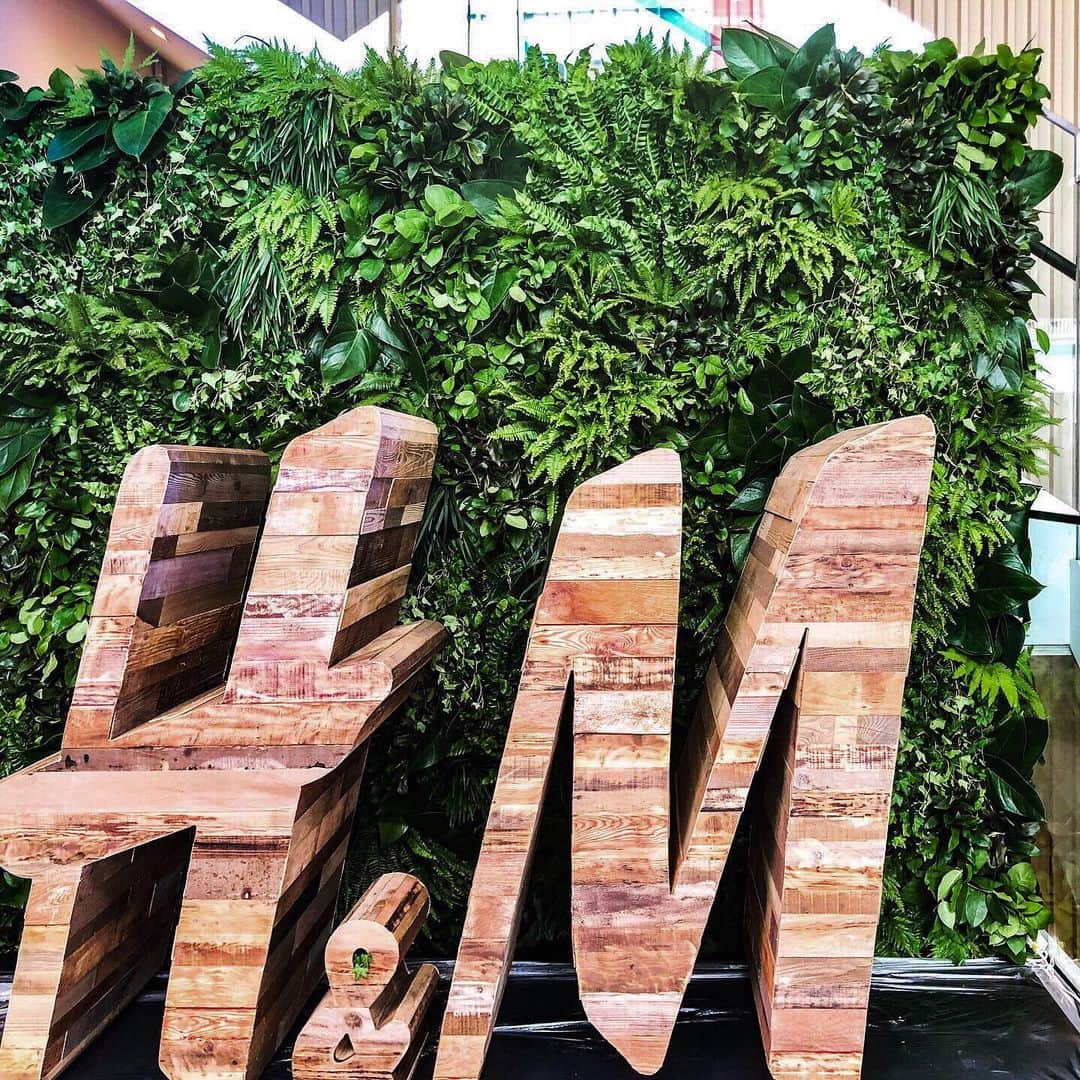 のインスタグラム：「@hm ＃greenwall」