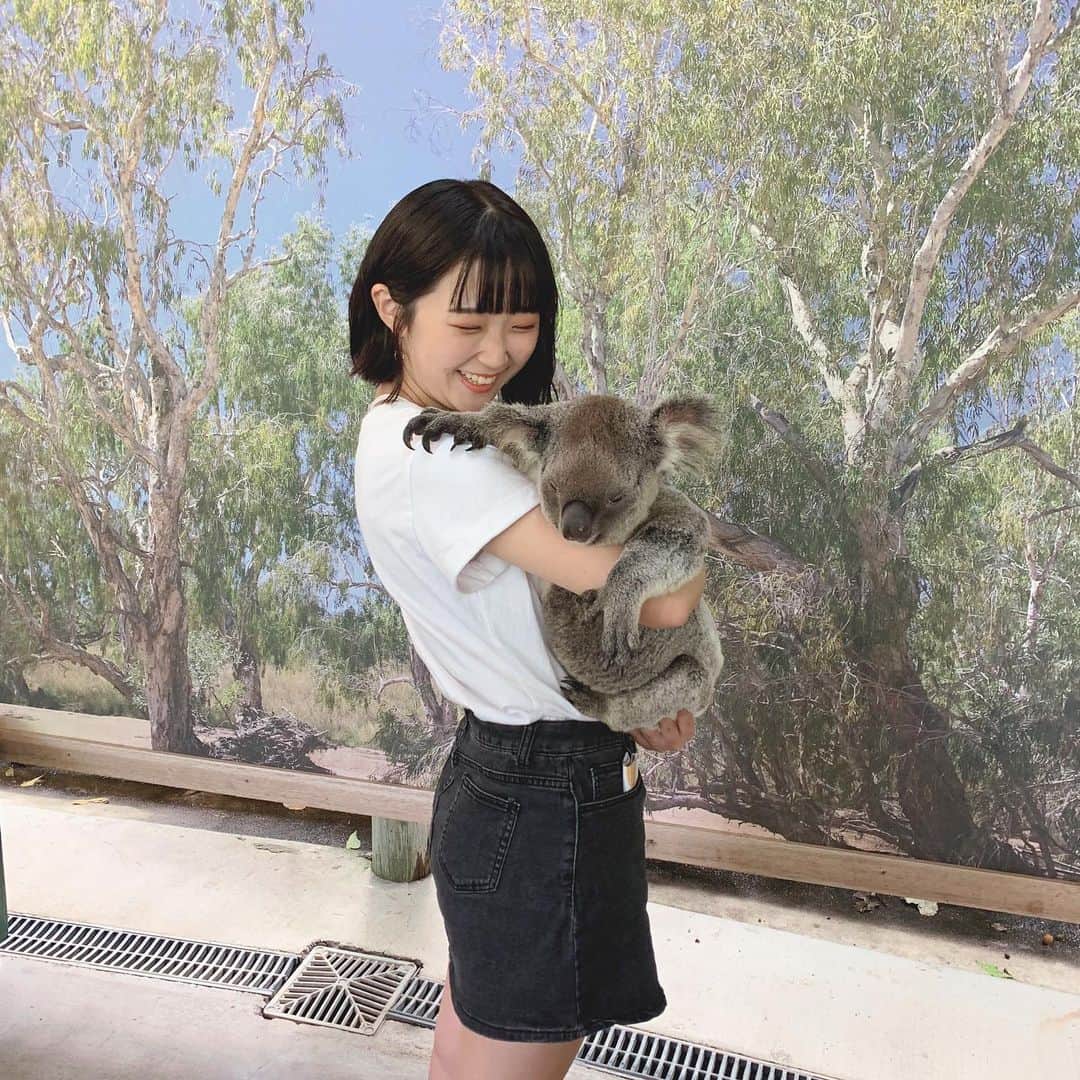 平井はんなのインスタグラム：「. キュランダ散策してきたよ🐨 やっとオーストラリアっぽいことできた!🇦🇺♥️ . #kulanda #Australia #cairns  #コアラ #いいね」