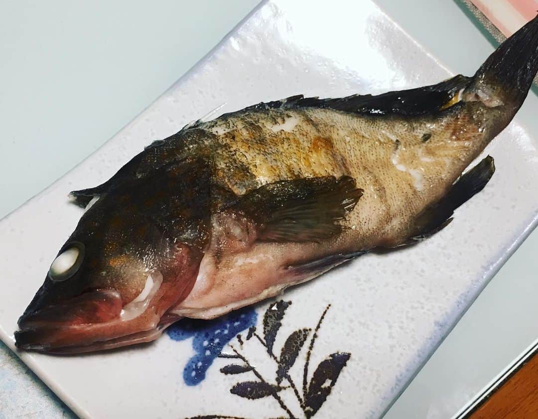六車奈々さんのインスタグラム写真 - (六車奈々Instagram)「実家で夕食。 釣りバカの父と妹が釣ってきた、アコウの塩焼き、鯵の南蛮漬け、イカの刺身。  どれも美味しかったー！  #釣りバカ #釣果 #美味しい」9月21日 19時26分 - nanarokusha