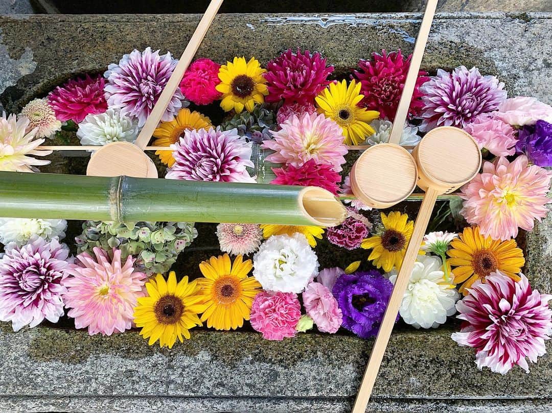 尾崎ななみのグルメインスタ